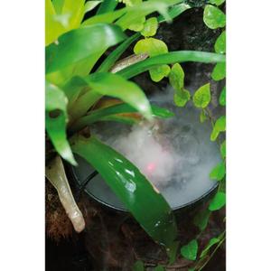 product/r/e/reptiles-planet_rp871023_argente_3.jpg