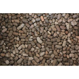 rp875936-substrat-reptiles-planet-hydroclay-marron-6-l