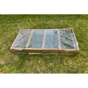 rp876031-bache-reptiles-planet-transparent-tu
