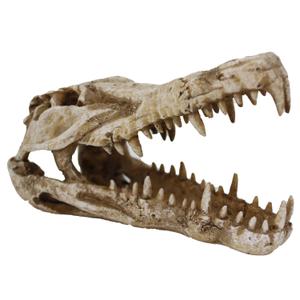 product/r/e/reptiles-planet_rp876153_beige_3.jpg