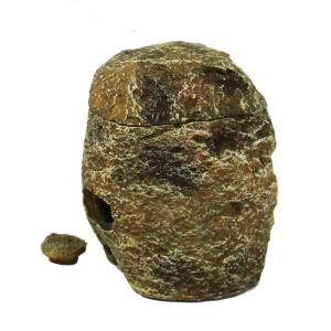 product/r/e/reptiles-planet_rp876180_vert_3.jpg