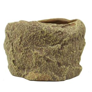 product/r/e/reptiles-planet_rp876219_beige_3.jpg