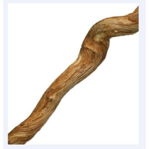 product/r/e/reptiles-planet_rp890240_marron_2.jpg