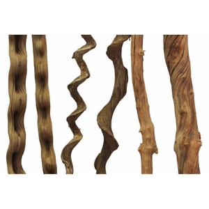 product/r/e/reptiles-planet_rp890240_marron_4.jpg