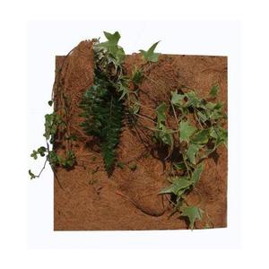 product/r/e/reptiles-planet_rp890550_marron_2.jpg