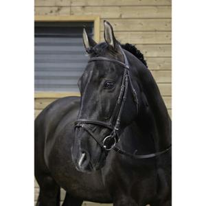 301004102-bridons-equitation-riding-world-muserolle-noir