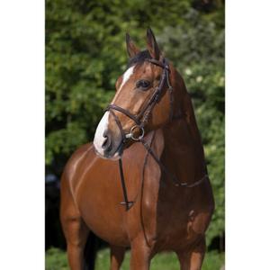 301004118-bridons-equitation-riding-world-muserolle-havane