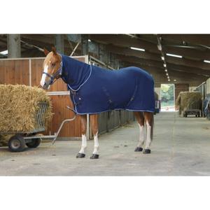 4006387-chemise-pour-cheval-riding-world-combo-marine-bleu-ciel