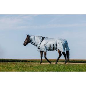 product/r/i/riding-world_400724056_gris_2.jpg