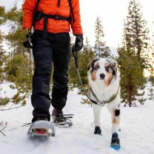 product/r/u/ruffwear_p15302-001150_obsidian-black_5.jpg