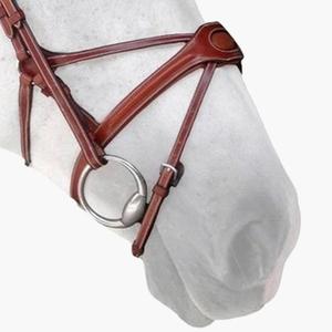 n02c-muserolle-cheval-silver-crown-spider-conker-full
