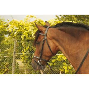 brid03clb-noir-bridons-equitation-t-de-t-goya-noir