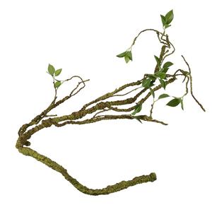 236-469934-accessoire-de-terrarium-branche-vegetale-epaisse-decoratif-terra-della-vert-110x2-5x2-5-cm