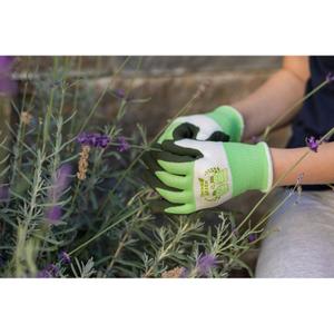 product/t/h/thinkgreen_298026_5.jpg