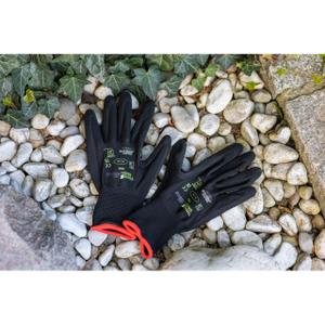 product/t/h/thinkgreen_298031_3.jpg