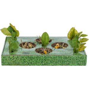 62827-jouet-pour-rongeurs-plateau-a-friandises-trixie-vert-28-3-8-18-cm