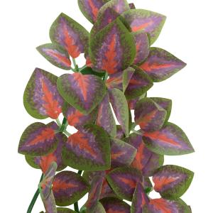 product/t/r/trixie_76244_violet-vert_2.jpg