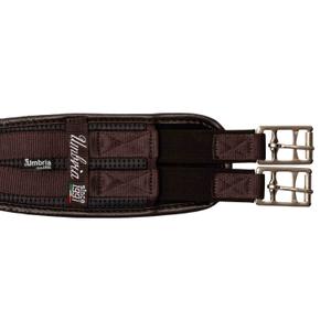 product/u/m/umbria-equitazione_sp00033-brown_brown_4.jpg