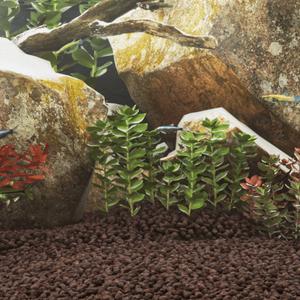 155310-substrat-vidaxl-volcanic-5-8-mm-red-tu