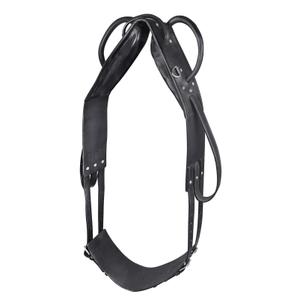 608001-pon-surfaix-pour-cheval-voltige-et-de-longe-star-noir
