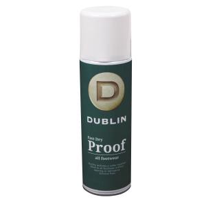 1000855001-spray-anti-sechage-rapide-dublin-vert-blanc-300-ml