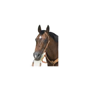 802064317-bridons-equitation-pour-cheval-westride-franck-perret-1-oreille-noisette-cheval