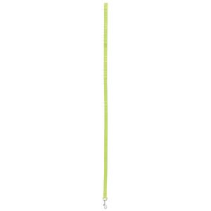 462030ani-laisse-nylon-pour-chien-zolux-vert-anis-60-cm