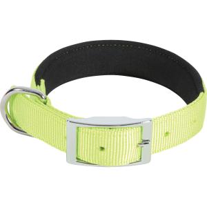 466727ani-collier-nylon-souple-pour-chien-zolux-anis-anis-45-cm